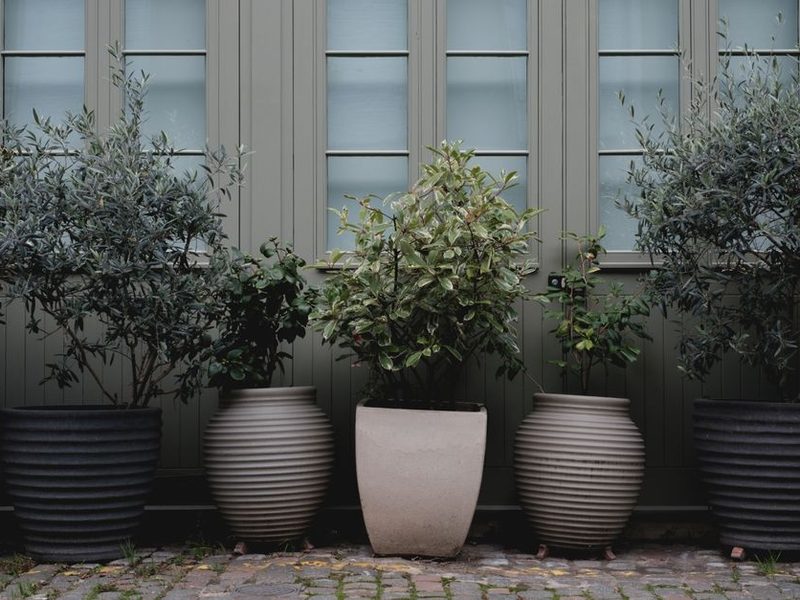 Patio con diseño de jardín y plantas